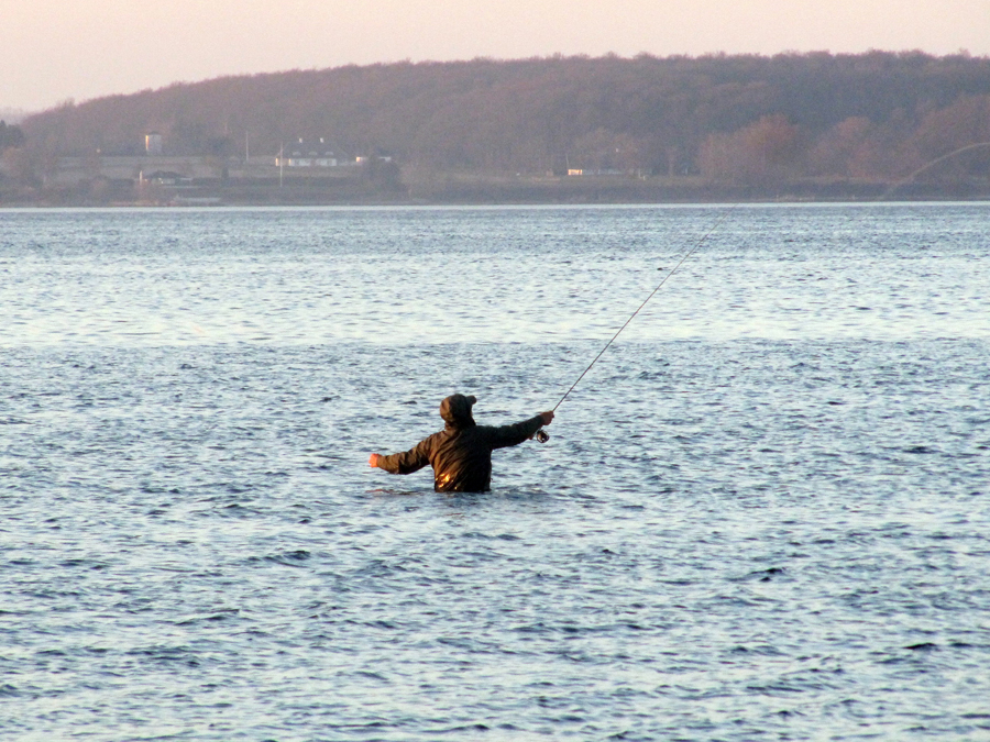 Saltwater mar Baltico