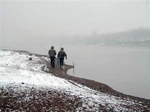 Pesca invernale a caccia di aspio sul Po