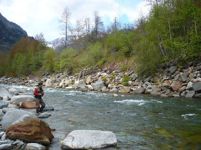 Sesia Azione di pesca su uno dei fiumi italiani più belli